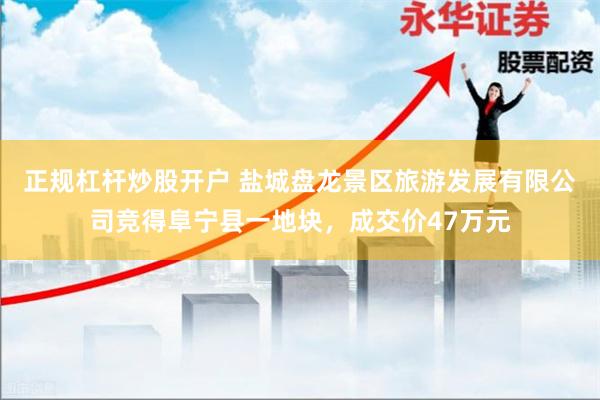 正规杠杆炒股开户 盐城盘龙景区旅游发展有限公司竞得阜宁县一地块，成交价47万元
