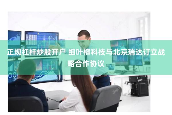 正规杠杆炒股开户 细叶榕科技与北京瑞达订立战略合作协议