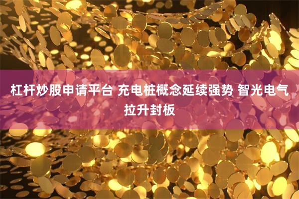杠杆炒股申请平台 充电桩概念延续强势 智光电气拉升封板