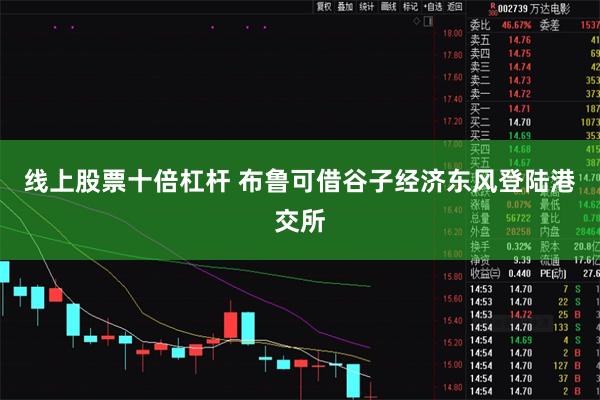 线上股票十倍杠杆 布鲁可借谷子经济东风登陆港交所