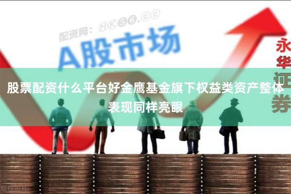 股票配资什么平台好金鹰基金旗下权益类资产整体表现同样亮眼