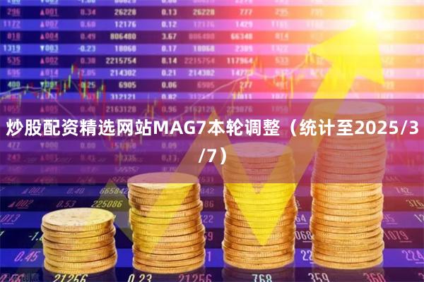 炒股配资精选网站MAG7本轮调整（统计至2025/3/7）
